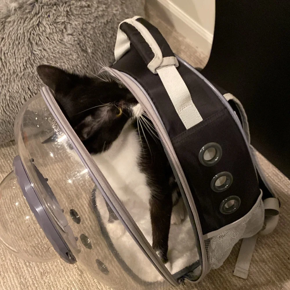 Cat bubble backpack